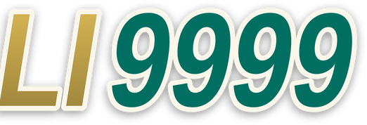li9999